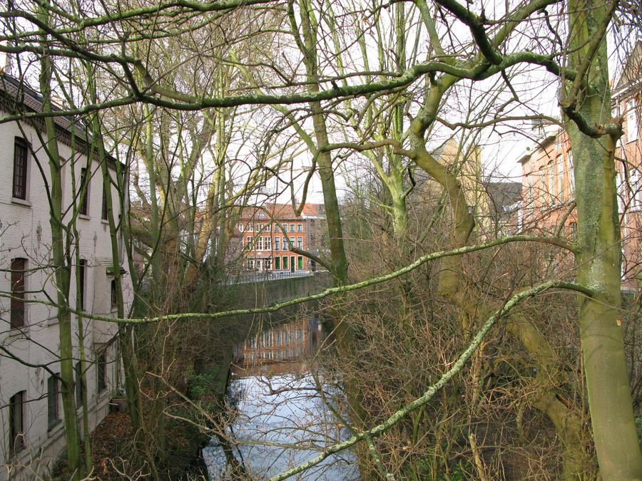 gal/2008-01-30 Bruges - Sebastien et Jessica/007.JPG